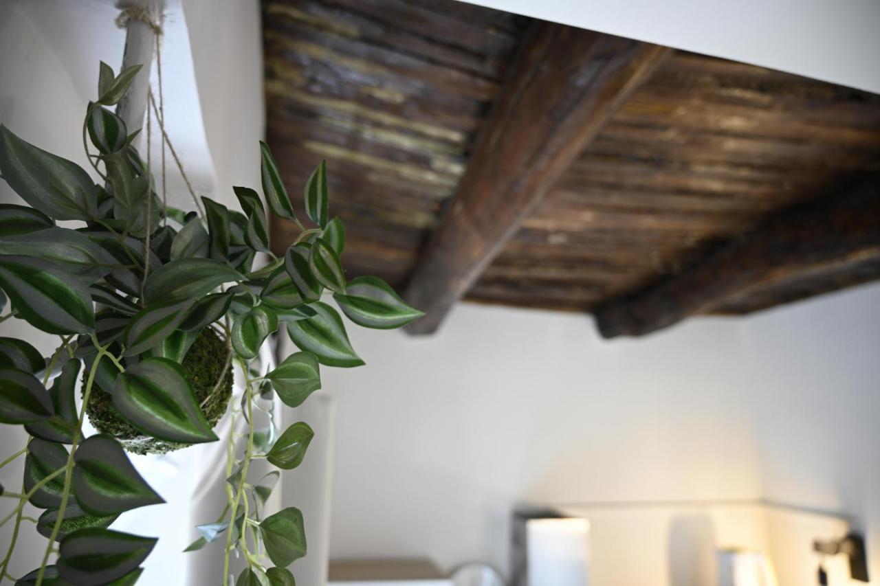 Casa Donna Francy * Napoli